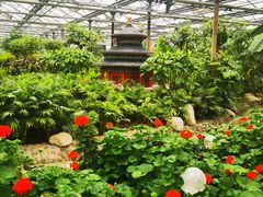 -南宫五洲植物乐园