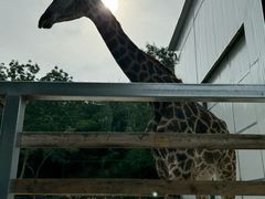 -水上乐园·欢乐世界