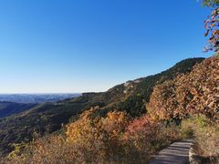 -北京西山国家森林公园