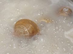-淘米捞·米汤脆鲩鱼火锅(福田皇岗店)