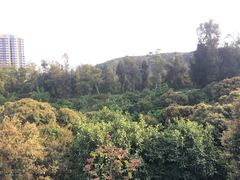 -狐尾山公园