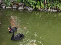 -珠海圆明新园