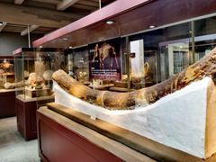 -丁村民俗博物馆