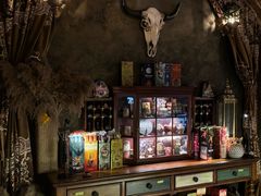 -雪灵魔法世界SHELLY’S TAROT(大良桂畔里店)