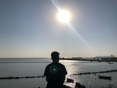 -合肥滨湖国家森林公园