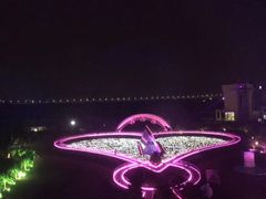-百万葵园