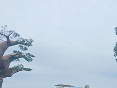 -苏州湾梦幻水世界