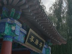 -莲花池公园
