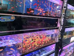 -双季花艺园艺市场(浦东店)