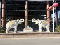 -西双版纳傣族园