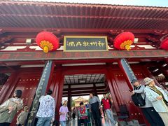 -神州牡丹园