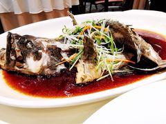 清蒸海石斑-南海渔村(珠江新城店)