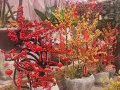 -双季花艺园艺市场(浦东店)