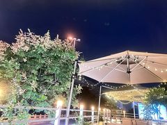 -芸鲜季·云南野生菌餐厅· 云南风物味研社(闵行店)