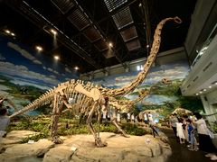 -自贡恐龙博物馆