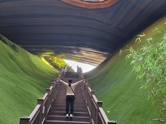 -天目湖山水园