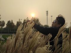-东疆建设开发纪念公园
