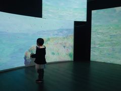 -印象莫奈时光映迹艺术展