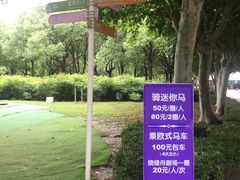 -东方绿舟景区