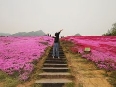 景点&nbsp;花海-昆嵛山石门里景区