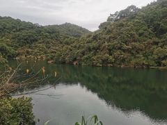 -梧桐山风景名胜区