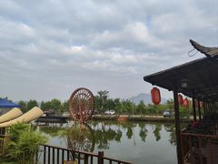 -一煲鸽