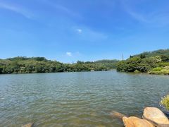 -深圳仙湖植物园