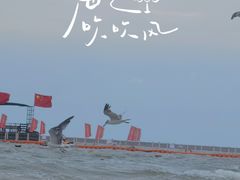 -天津东疆湾沙滩景区