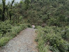 -桃花岭景区