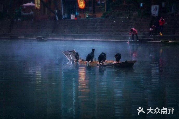 江南水上可以采莲，莲叶多么茂盛，鱼儿在莲叶间嬉戏