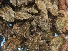 -大中华希尔顿酒店-念自助餐·嗨啤·小龙虾