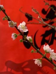 -Y+U遇瑜伽·普拉提