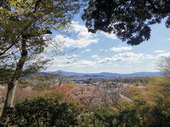-常寂光寺
