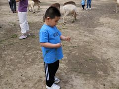-北京麋鹿生态实验中心