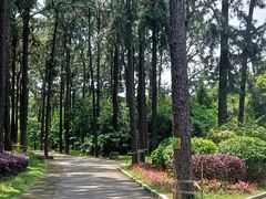 -金山植物公园