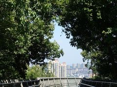 -福道