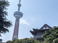 -南京古林公园