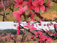 -露天矿生态公园