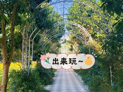 -百万葵园