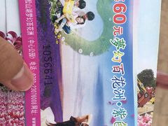 -松山湖梦幻百花洲