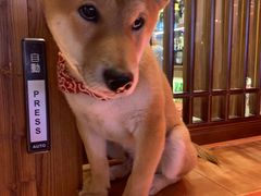 -無境·匠心日本料理(汉街店)