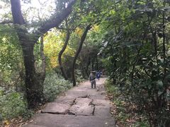 -杭州半山国家森林公园