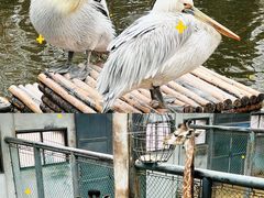 -济南野生动物世界