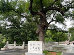 -北陵公园