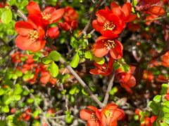 -梁鸿国家湿地公园