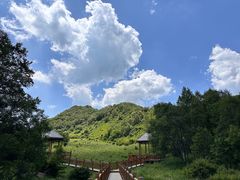 -白草畔自然风景区