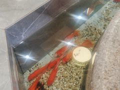 -郭林家常菜(狼垡店)