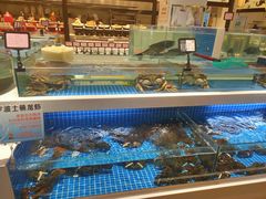 -渔人码头(中南店)