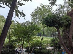 -莲湖公园