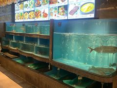水产区-怀德酒楼·粤菜·海鲜·茶点(宝安国际机场店)